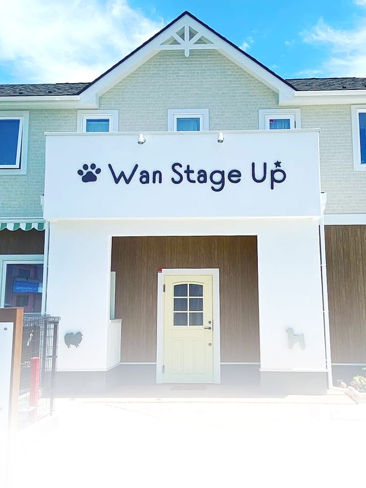 Wan Stage Up